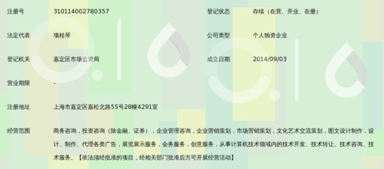 上海华略商务咨询服务中心 以专业网站塑造高端商务形象