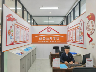 正阳县行政服务中心政务公开专区网页设计创新实践